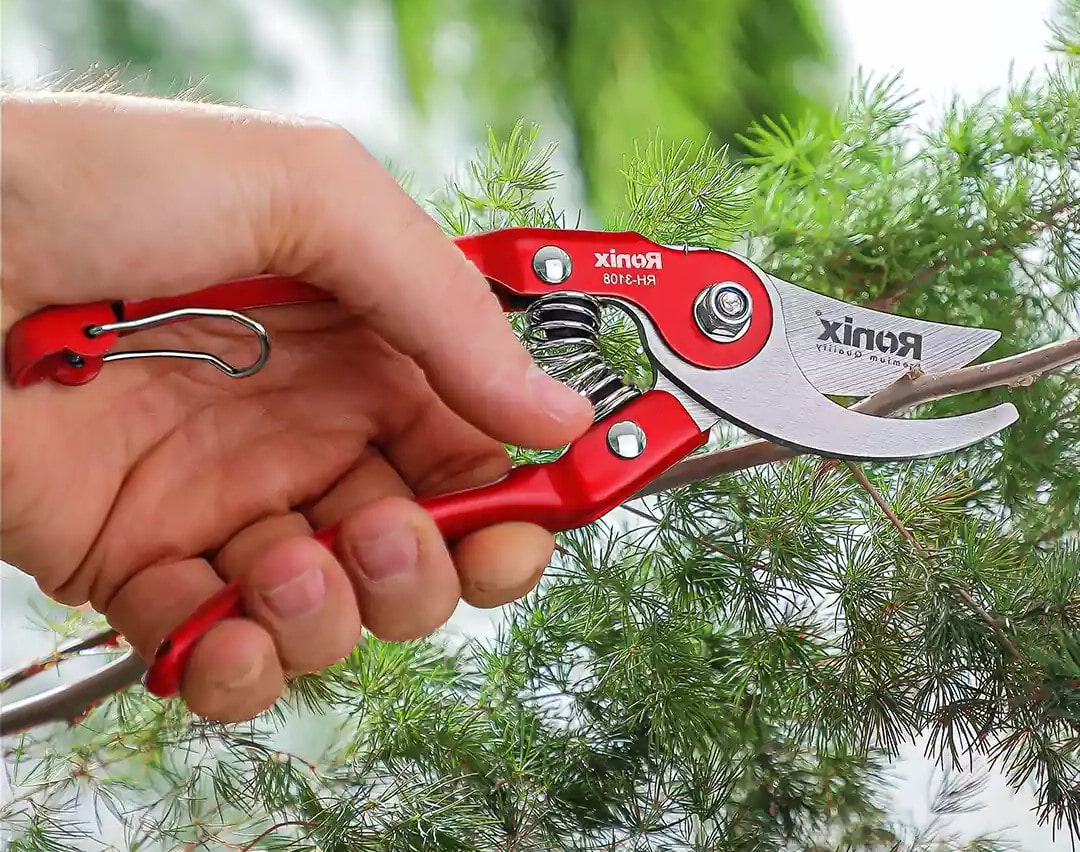 قیچی باغبانی رونیکس